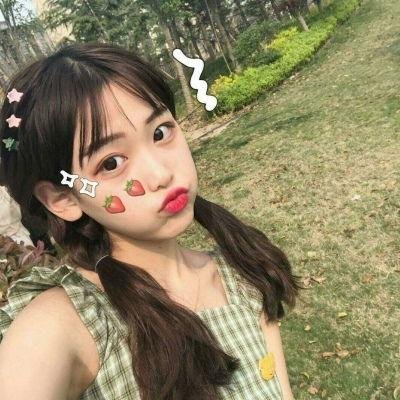 彩叶草之梦