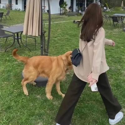 他夏天住在楼下